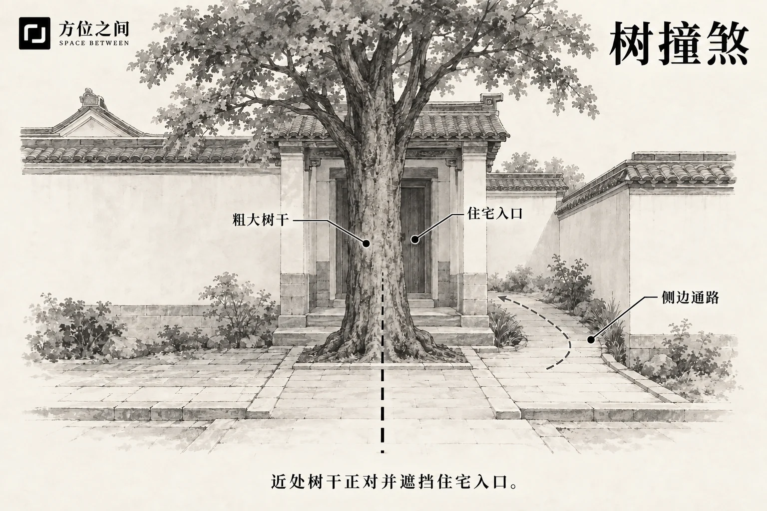 粗大树干正对狭窄住宅入口并显示侧向通路的示意