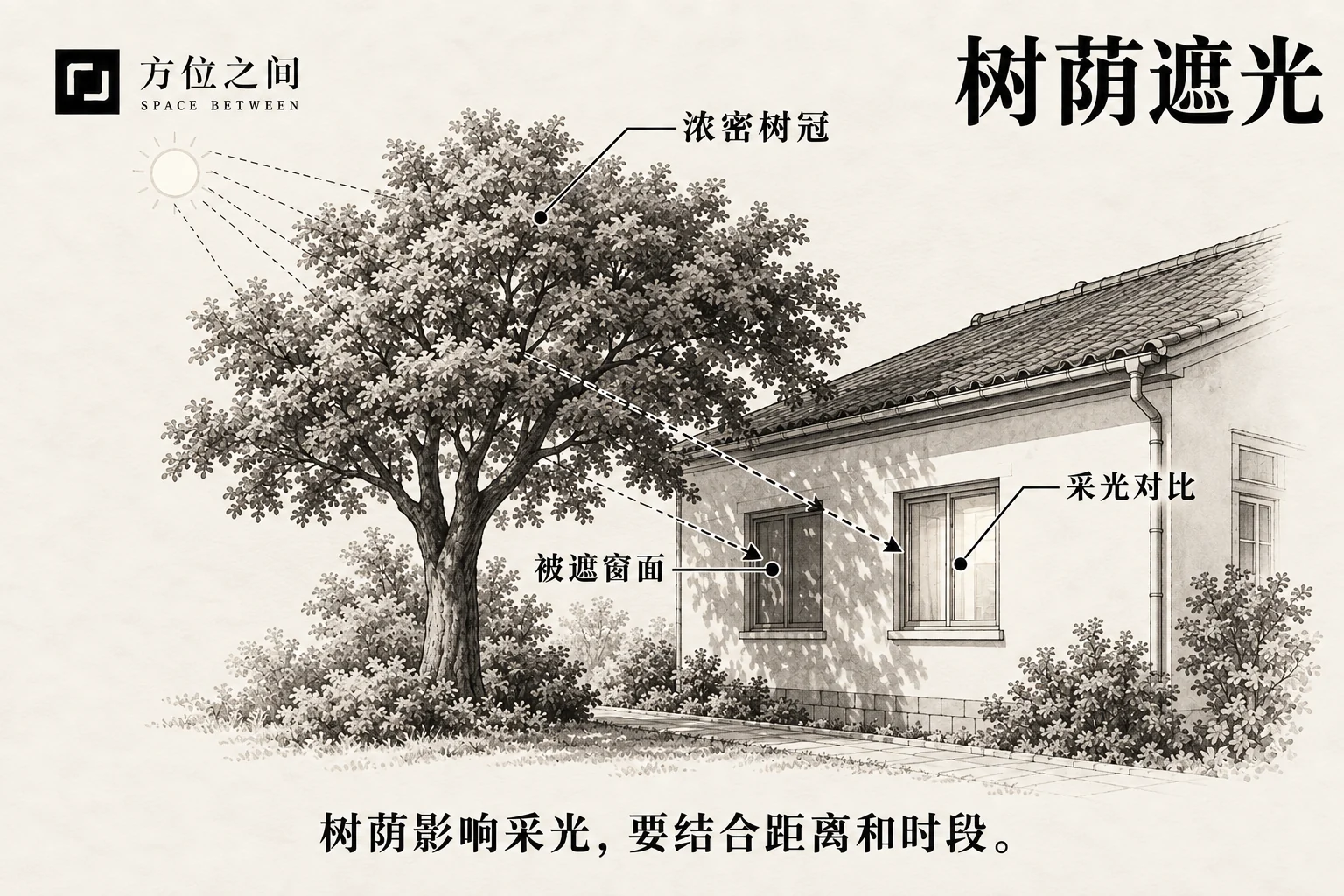 浓密树冠遮住低层窗户部分天空,室内靠窗与深处明暗有别。