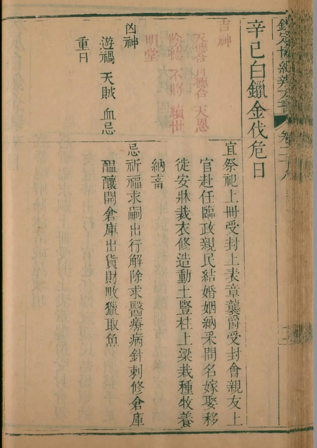 戌月 · 辛巳日对应书页